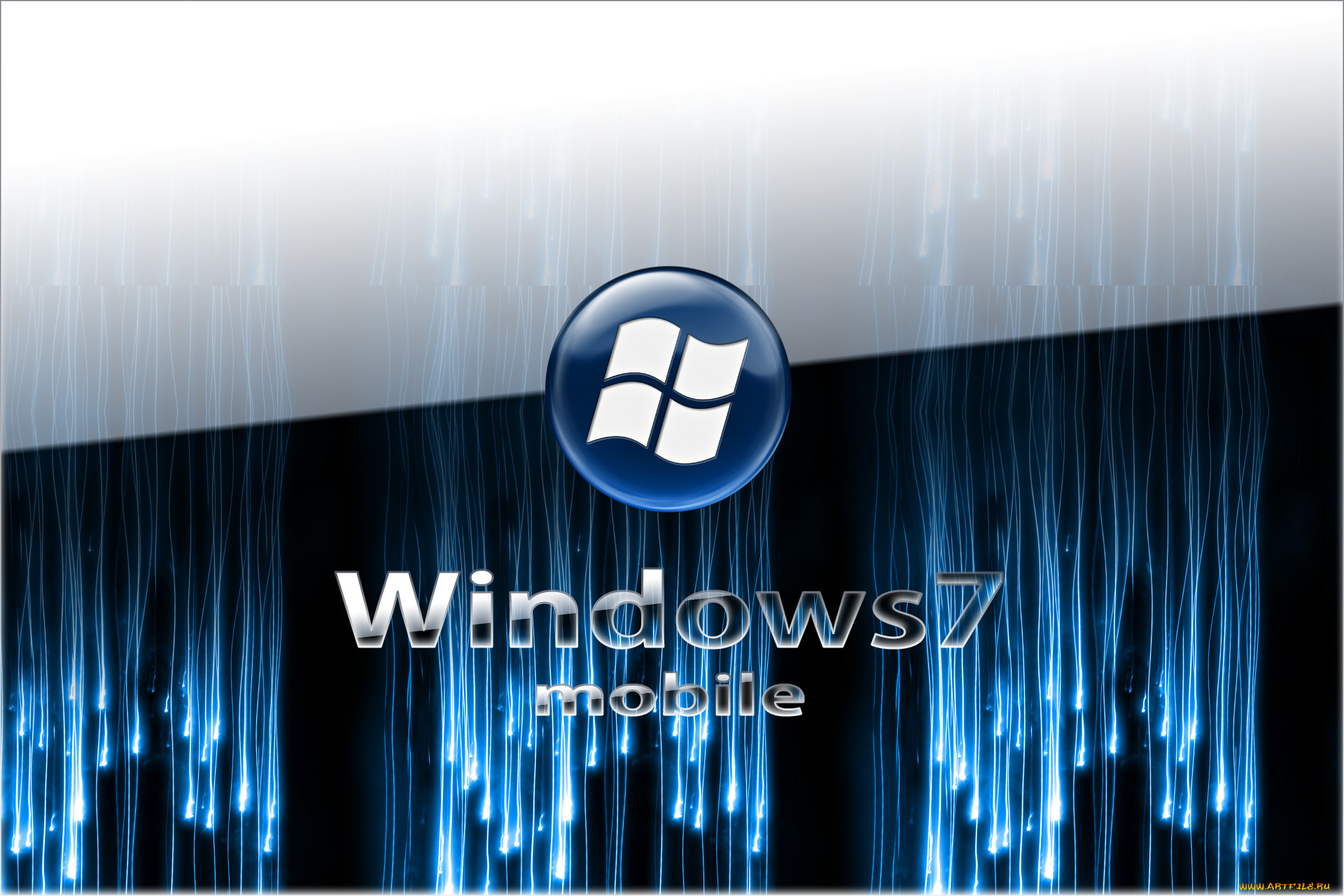 , windows, vienna, , 